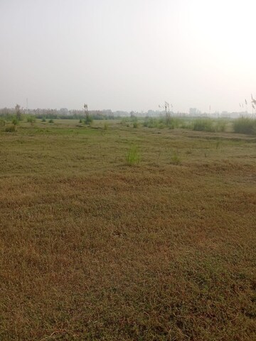  Plot For Sale in Tappal