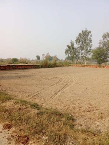  Plot For Sale in Tappal