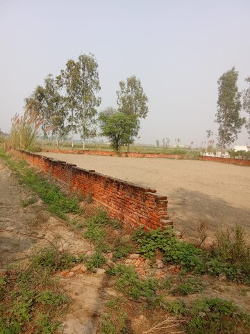 Plot Area in  Plot at Tappal – for Sale