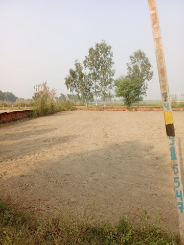Plot Area in  Plot at Tappal – for Sale