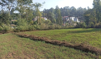 Commercial Land 18000 Sq.Ft. For Resale in Kotabagh Nainital  7765352