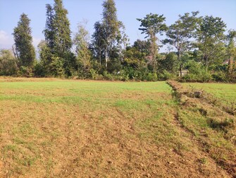 Commercial Land 18000 Sq.Ft. For Resale in Kotabagh Nainital  7765352