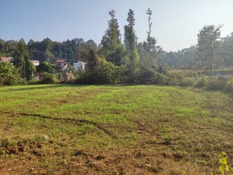 Plot For Resale in Kotabagh Nainital  7765378