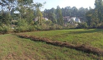 Plot For Resale in Kotabagh Nainital  7765378