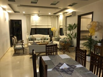 3 BHK Apartment For Rent in Sector 14 Faridabad  7765468