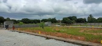 Plot For Resale in Naidupeta Nellore  7765497