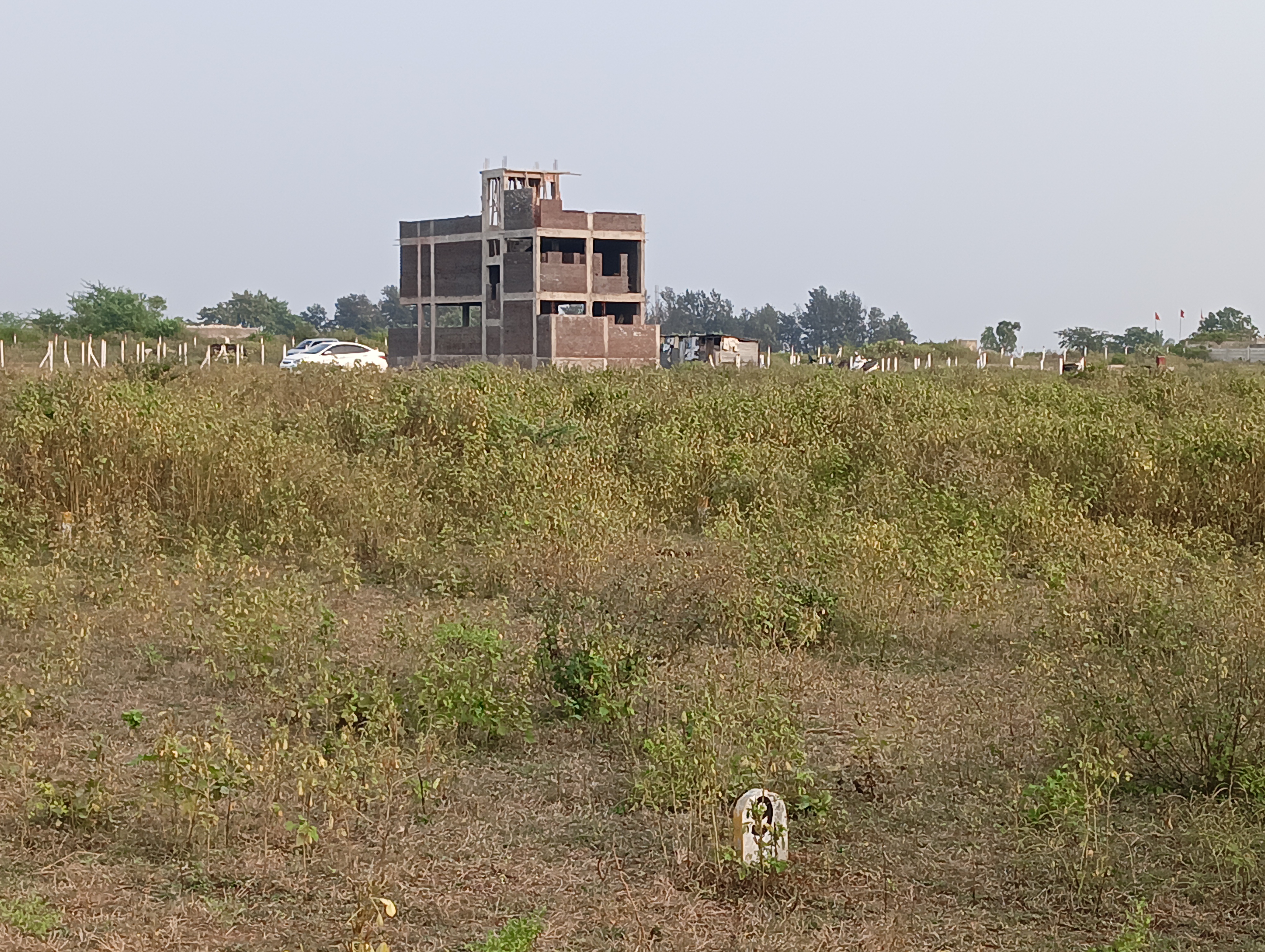 Plot For Resale in Pathardi Nashik  7765779