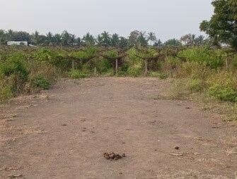 Plot For Resale in Pathardi Nashik  7765779