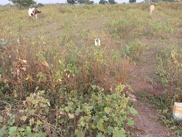 Plot Area in  Plot at Pathardi – for Sale