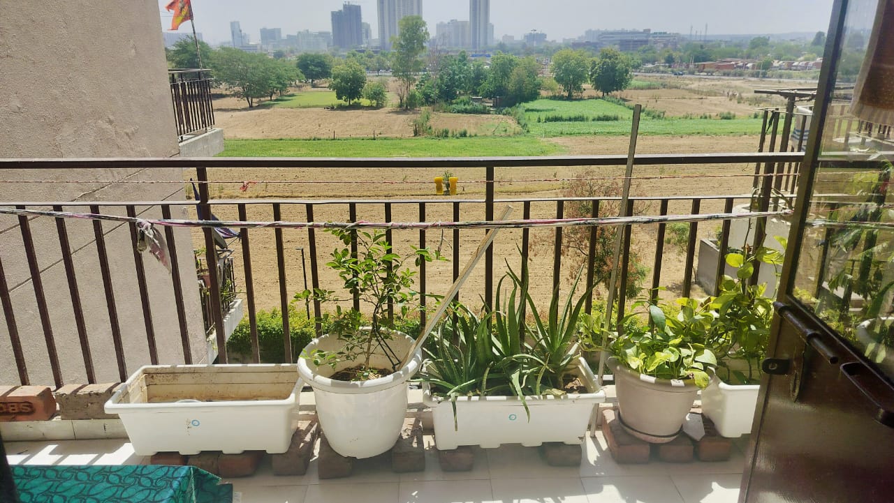 1.5 BHK Apartment For Rent in Signature Orchard Avenue 2 Sector 93 Gurgaon  7765942