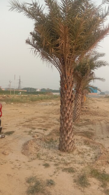 Plot Area in  Plot at Homfix Brookside Valley, Raj Nagar Extension – for Sale