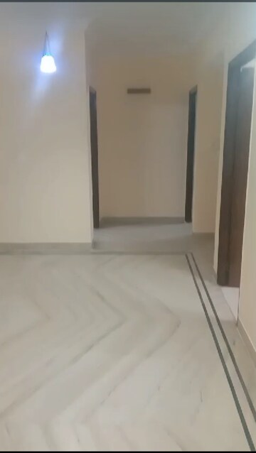 3 BHK Apartment For Rent in Majestic Residency Btm Layout Bangalore  7765993