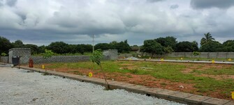 Plot For Resale in Kannur Bangalore  7755040