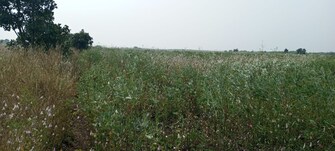 Commercial Land 100 Acre For Resale in Kamalapur Gulbarga  7766091