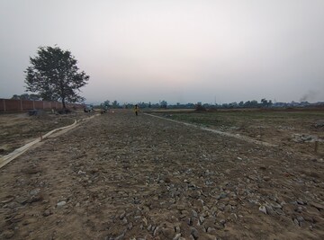 Plot Area in  Plot at Selakui – for Sale