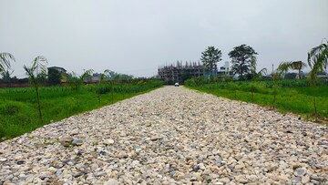 Plot Area in  Plot at Selakui – for Sale