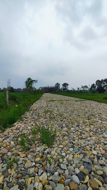 Plot Area in  Plot at Selakui – for Sale