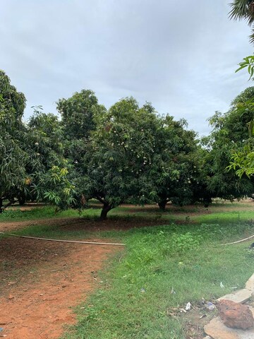  Land For Sale in Ankleshwar Gidc