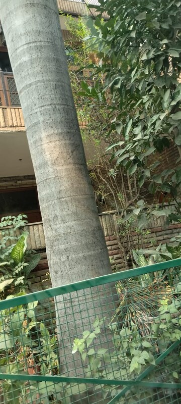 6+ BHK Independent House – Exterior View View at Sector 12 - for Sale