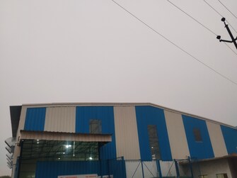 Commercial Warehouse 4500 Sq.Yd. For Rent in Matiyari Lucknow  7767063