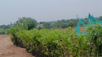  Plot – Garden View at Jangaon - for Sale