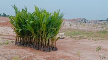  Plot – Garden View at Jangaon - for Sale