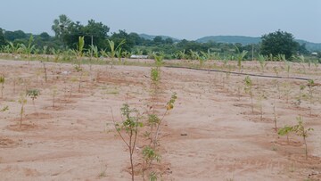Plot Area in  Plot at Jangaon – for Sale