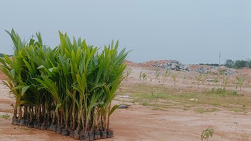 Plot Area in  Plot at Jangaon – for Sale