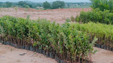Plot Area in  Plot at Jangaon – for Sale
