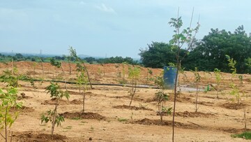 Plot Area in  Plot at Jangaon – for Sale