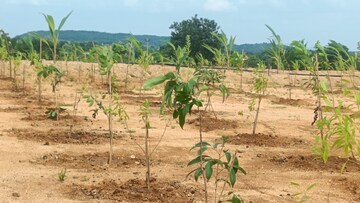 Plot Area in  Plot at Jangaon – for Sale