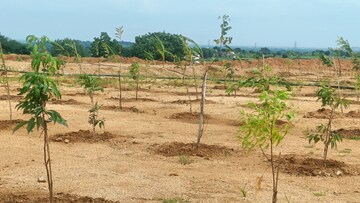 Plot Area in  Plot at Jangaon – for Sale