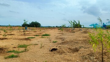 Plot Area in  Plot at Jangaon – for Sale