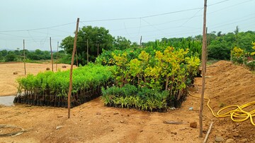  Plot – Exterior View View at Jangaon - for Sale