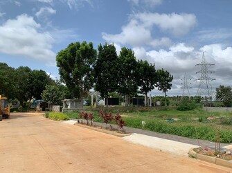 Plot For Resale in Udgir Bangalore  7767786