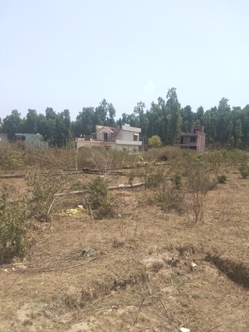 Plot Area in  Plot at Raipur Road – for Sale