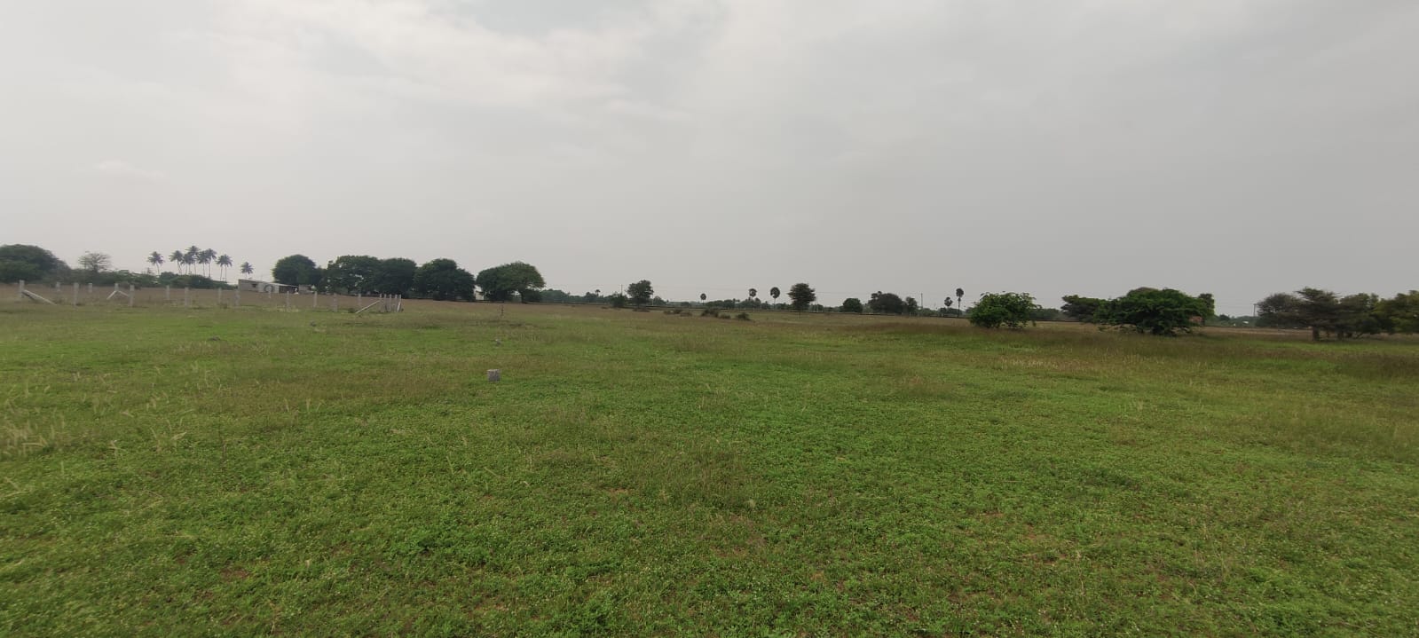 Plot For Resale in Rrcat Indore  7767951