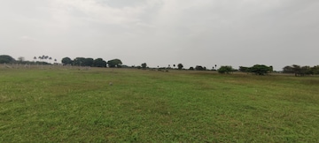 Plot For Resale in Rrcat Indore  7767951