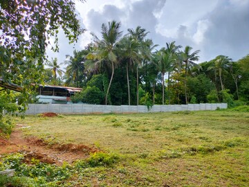 Plot For Resale in Akathethara Palakkad  7768404