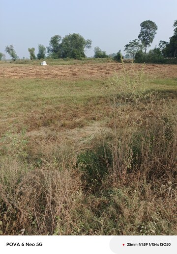 Plot Area in  Plot at Tappal – for Sale