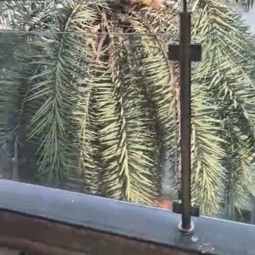 Balcony in 3 BHK Apartment at Aundh Road – for Rent