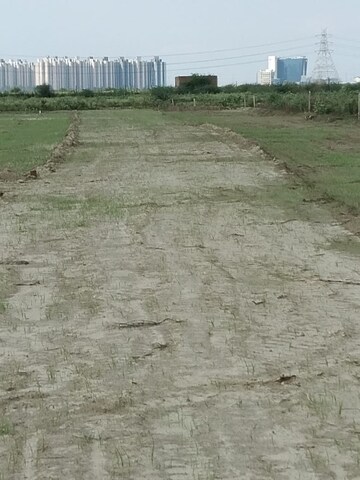 Plot Area in  Plot at Deri Skaner – for Sale