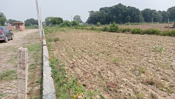 Plot For Resale in Kamta Lucknow  7768648