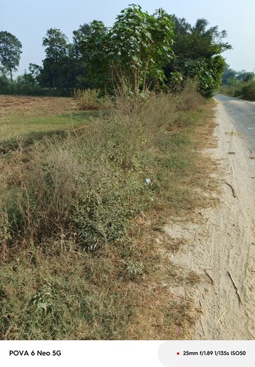 Plot Area in  Plot at Tappal – for Sale