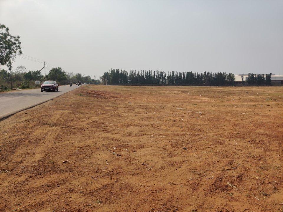 Plot For Resale in Gondwara Raipur  6820891