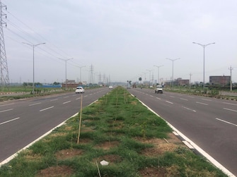 Commercial Land 30 Sq.Yd. For Resale in Sector 110 Mohali  7768909