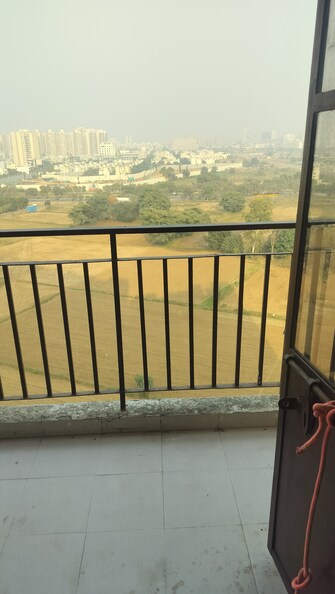 2 BHK Apartment For Rent in Signature Global Synera Sector 81 Gurgaon  7769025