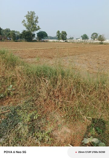  Plot For Sale in Tappal