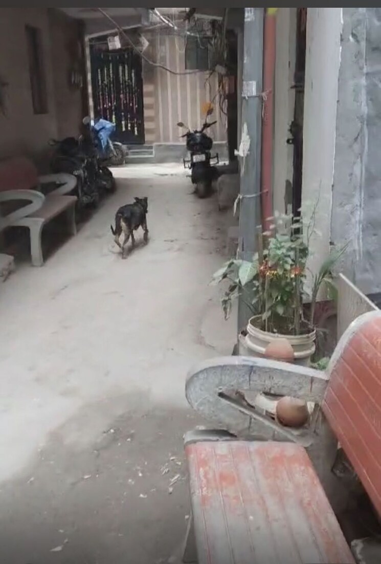  Parking, nawada 2 Bedroom 25 Sq.Yd. Independent House In Nawada Delhi 7769213