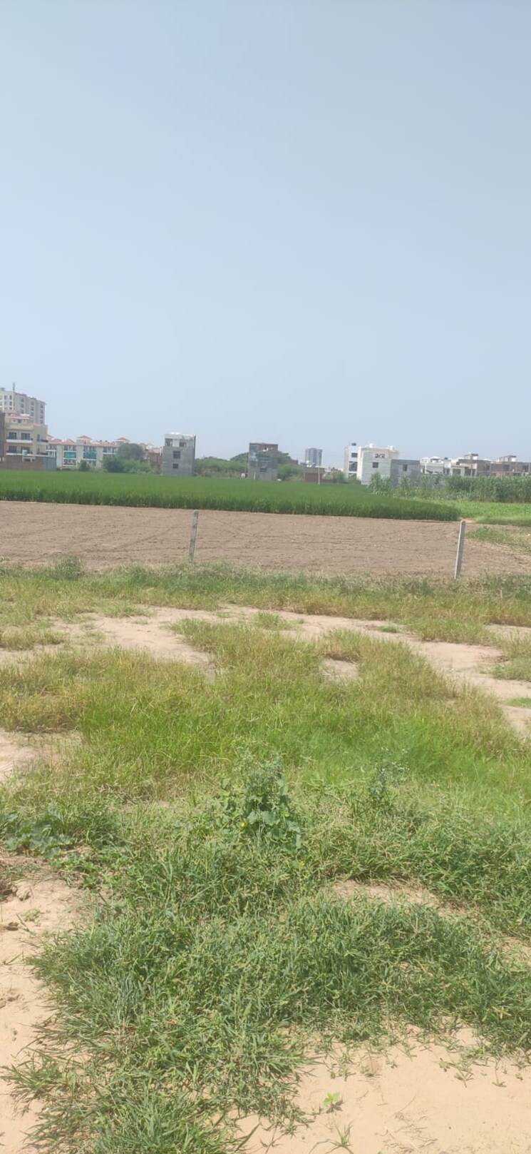 undefined, sector 127  120 Sq.Yd. Plot In Sector 127 Mohali 7769498